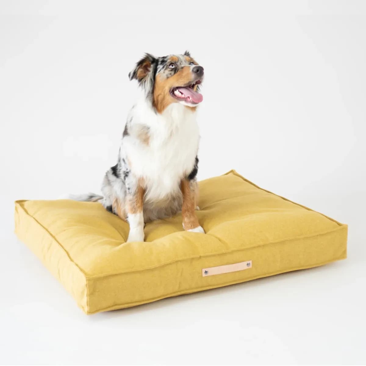 Movik Cushion Honey Secondary