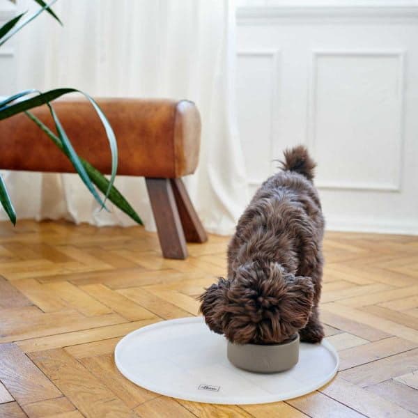 miska ceramicna osby